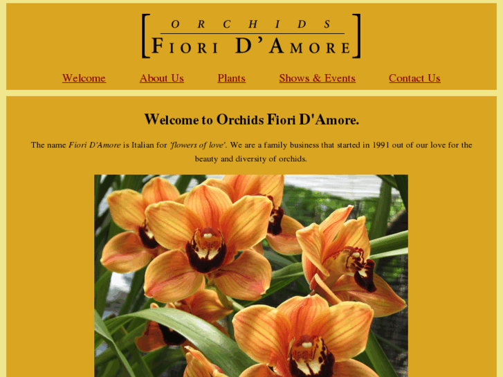 www.orchidsfioridamore.com