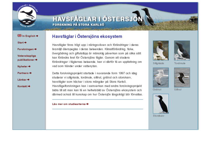 www.balticseabird.com