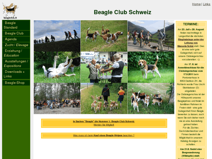 www.beagleclub.ch