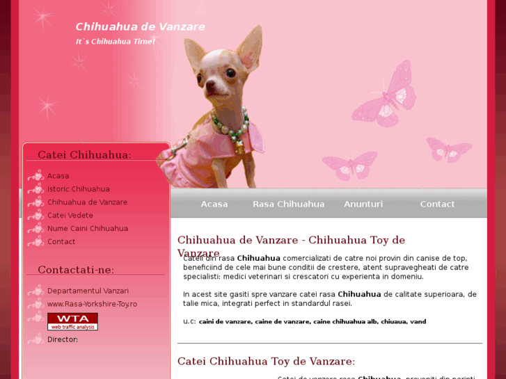 www.chihuahua-de-vanzare.com