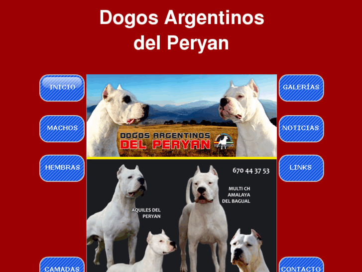 www.dogosargentinosdelperyan.com