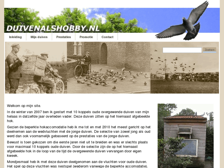 www.duivenalshobby.nl