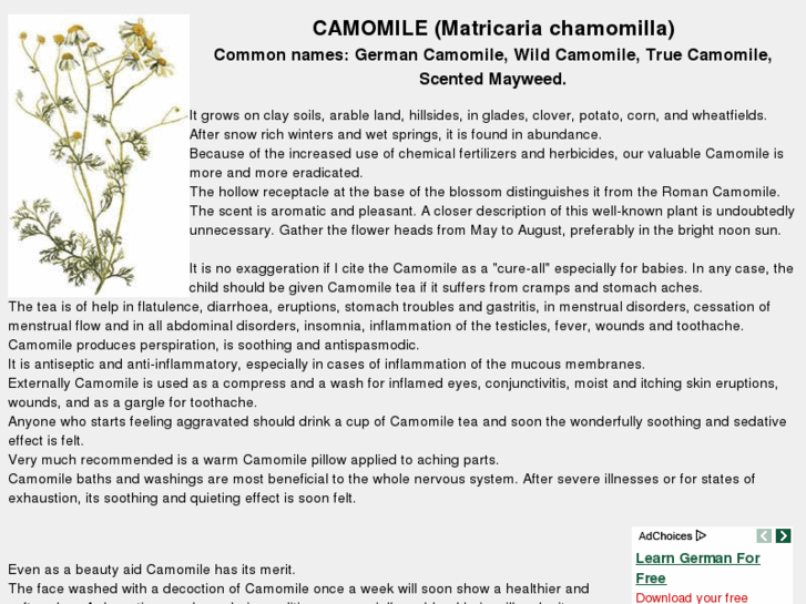 www.german-chamomile.com