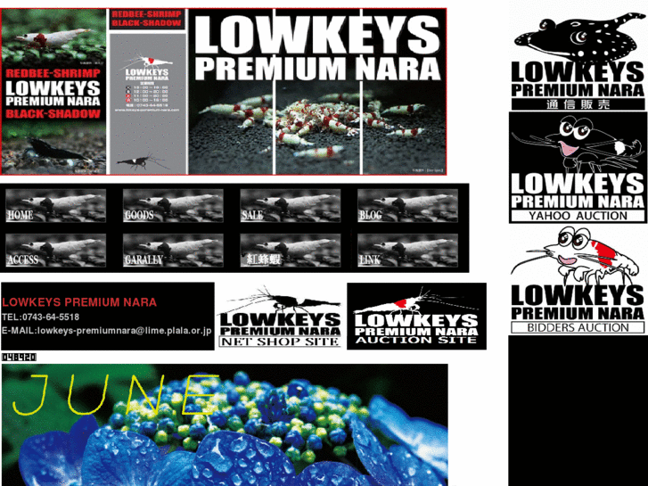 www.lowkeys-premium-nara.com