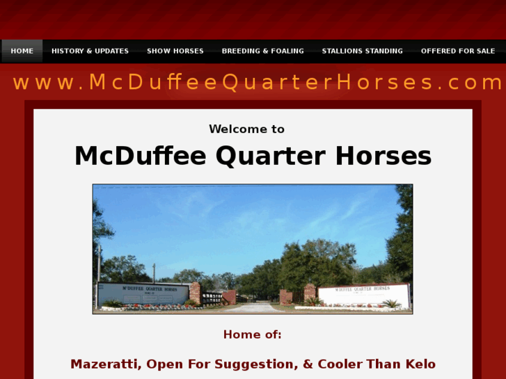 www.mcduffeequarterhorses.com