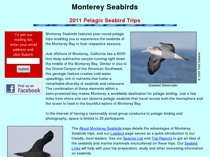 www.montereyseabirds.com