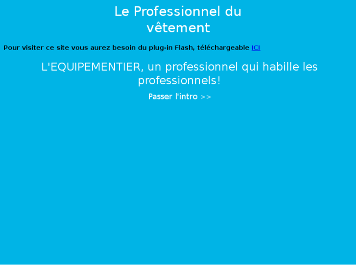 www.professionnelduvetement.com