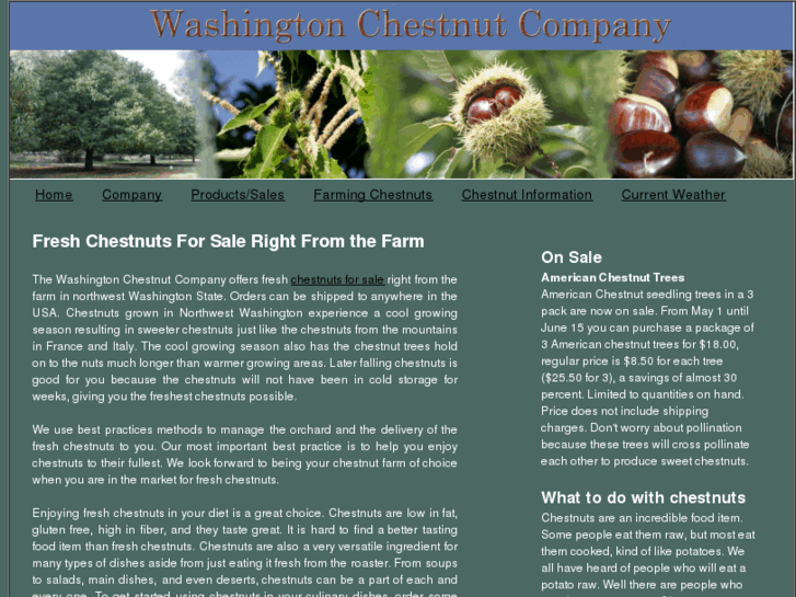 www.washingtonchestnut.com