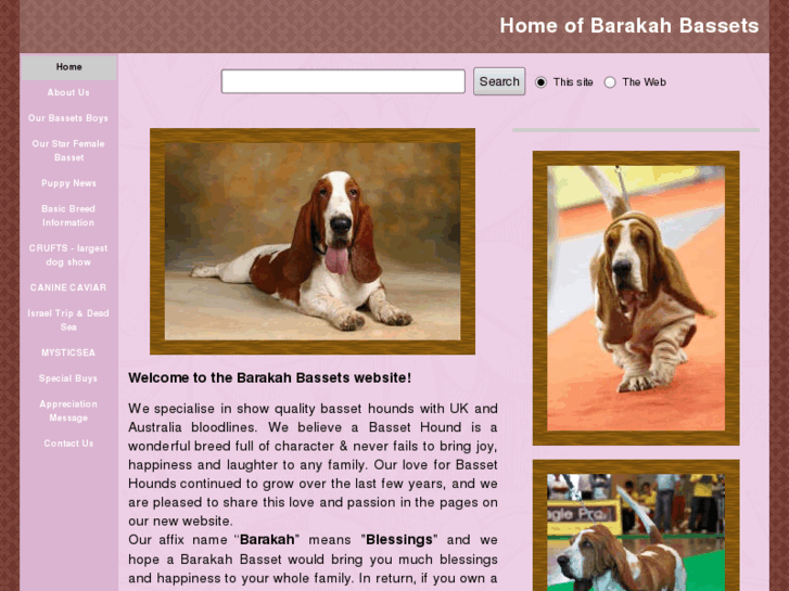 www.barakahbassets.com