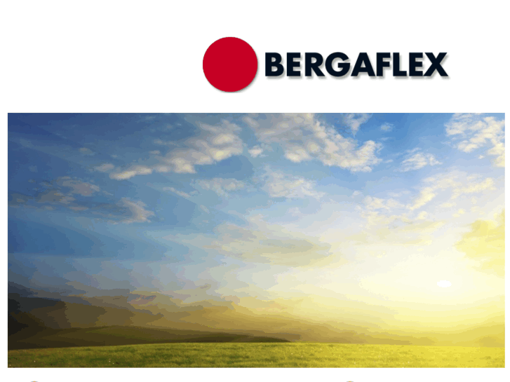 www.bergaflex.com