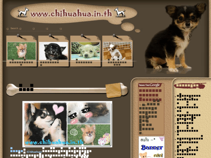 www.chihuahua.in.th