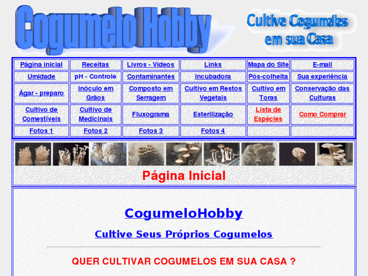 www.cogumelohobby.com