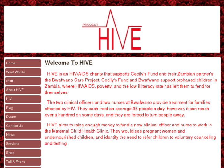 www.hive-project.com