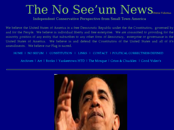 www.noseeumnews.net