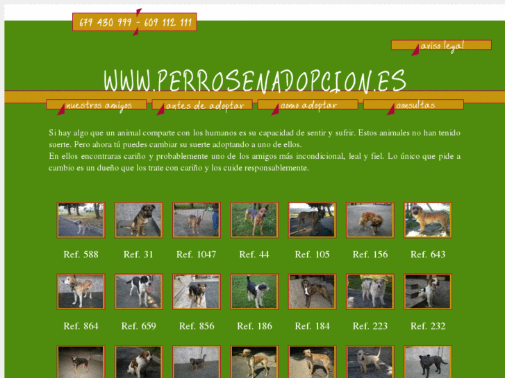 www.perrosenadopcion.es