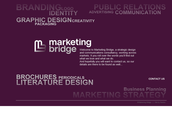 www.themarketingbridge.com
