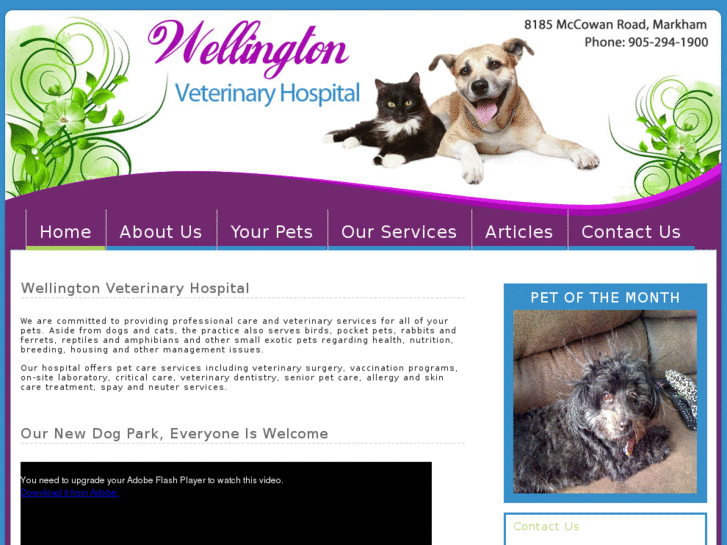 www.wellingtonveterinaryclinic.com