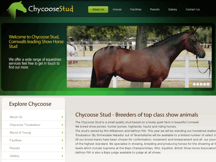 www.chycoosestud.com