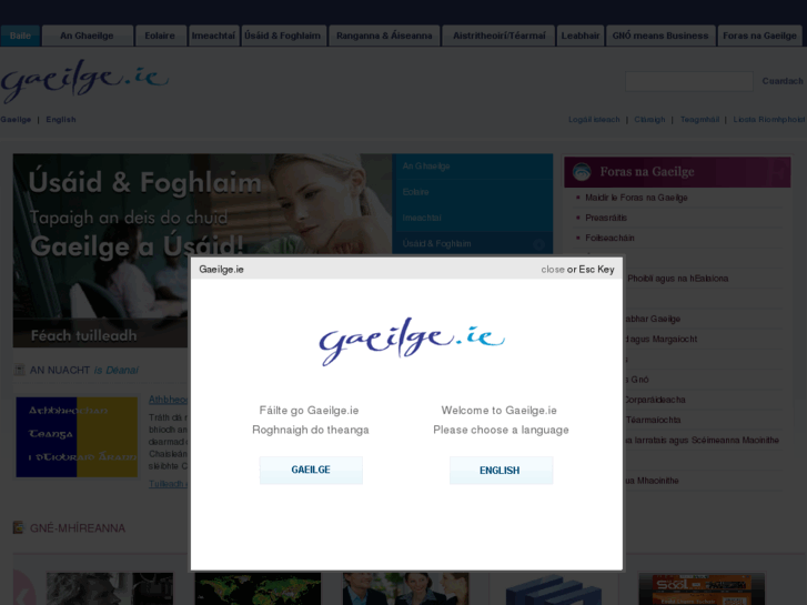 www.gaeilge.ie