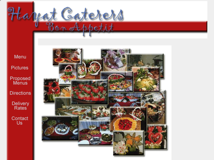 www.hayatcaterers.com