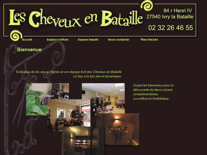 www.les-cheveux-en-bataille.com