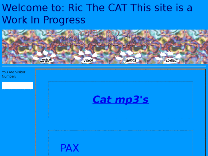 www.ricthecat.com