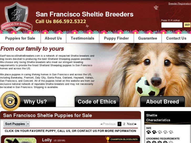 www.sanfranciscosheltiebreeders.com