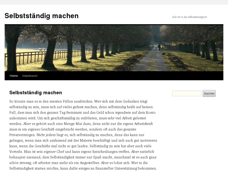 www.xn--selbststndigmachen-stb.org