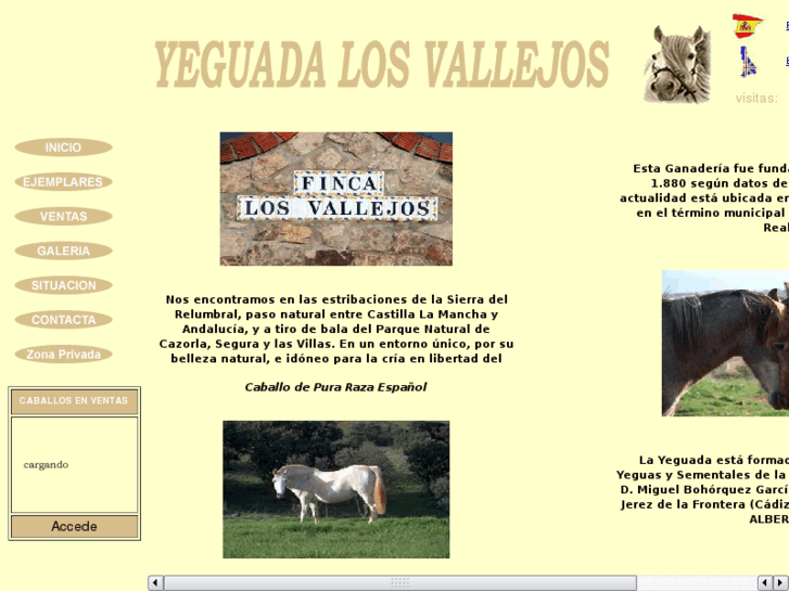 www.yeguadalosvallejos.com