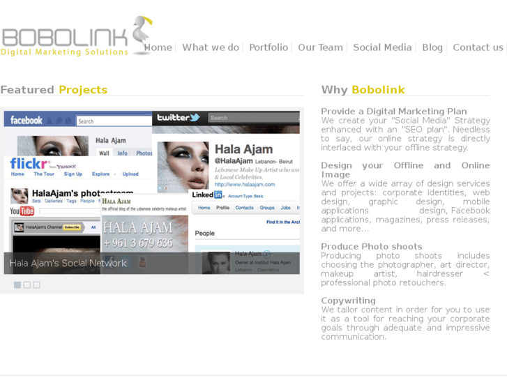 www.bobolink.co