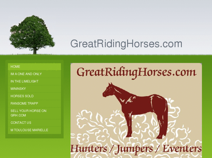 www.greatridinghorses.com