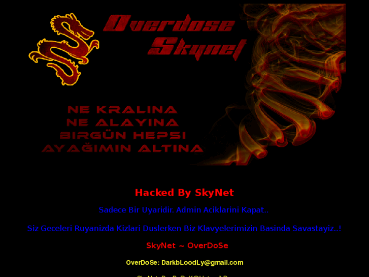 www.ozgurdusunce.net