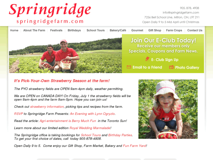 www.springridgefarm.com