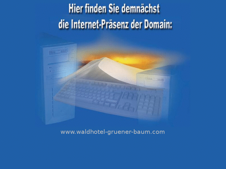 www.waldhotel-gruener-baum.com