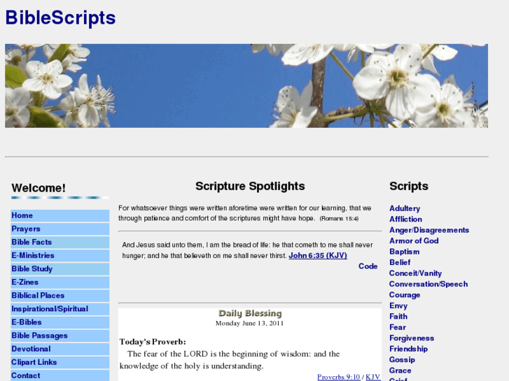 www.biblescripts.com