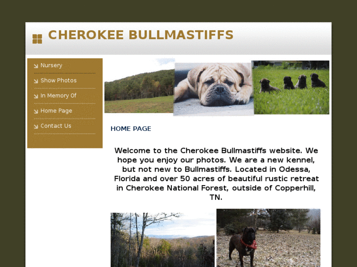 www.cherokeebullmastiffs.com