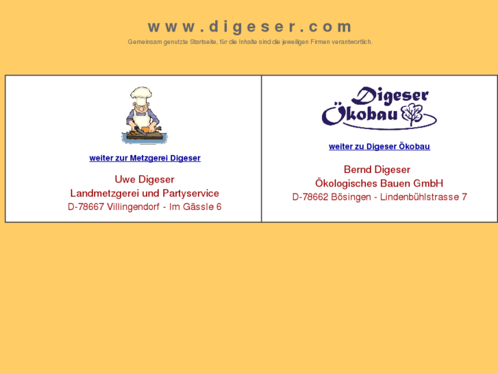 www.digeser.com