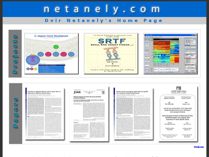 www.netanely.com