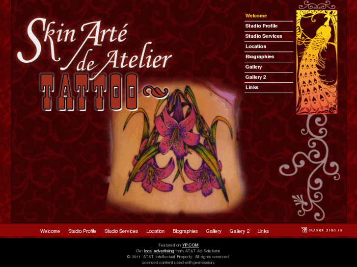 www.skinarte.com