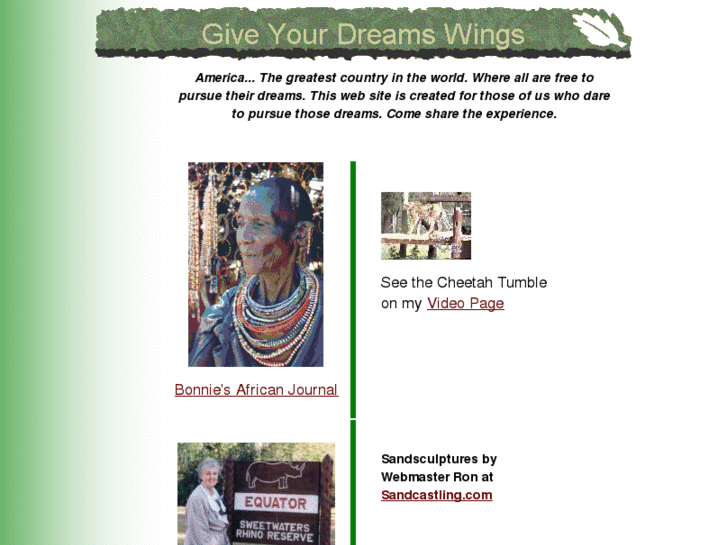 www.giveyourdreamswings.com