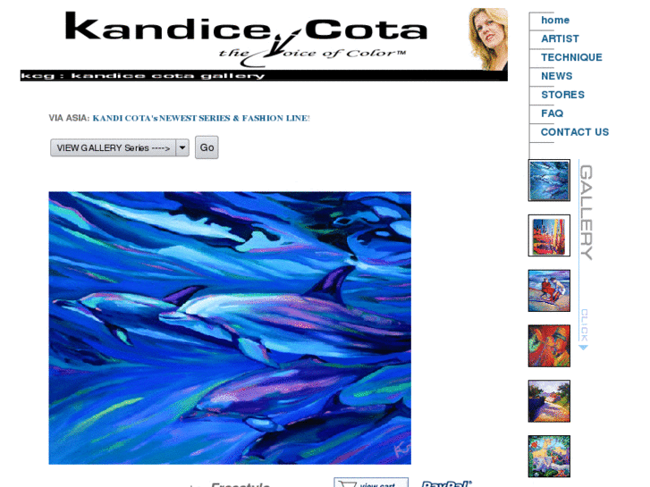 www.kandicecota.com