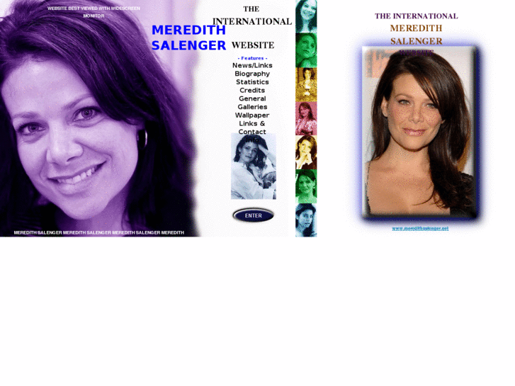 www.meredithsalenger.net