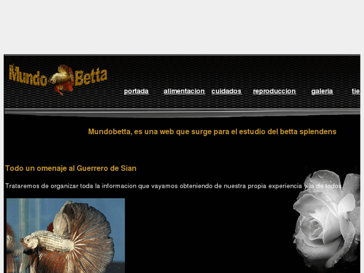 www.mundobetta.com