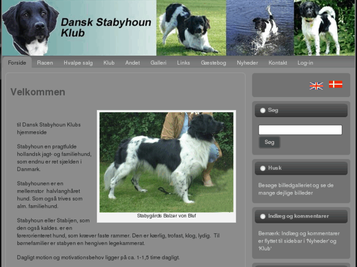 www.stabyhoun.dk