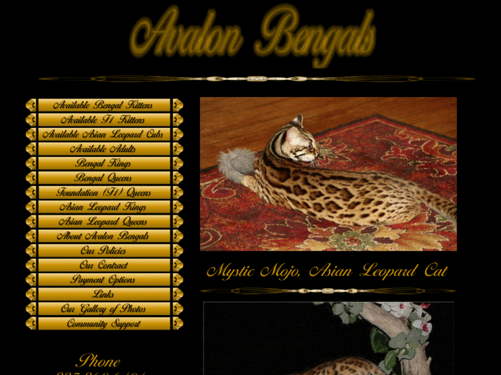 www.avalonbengals.com