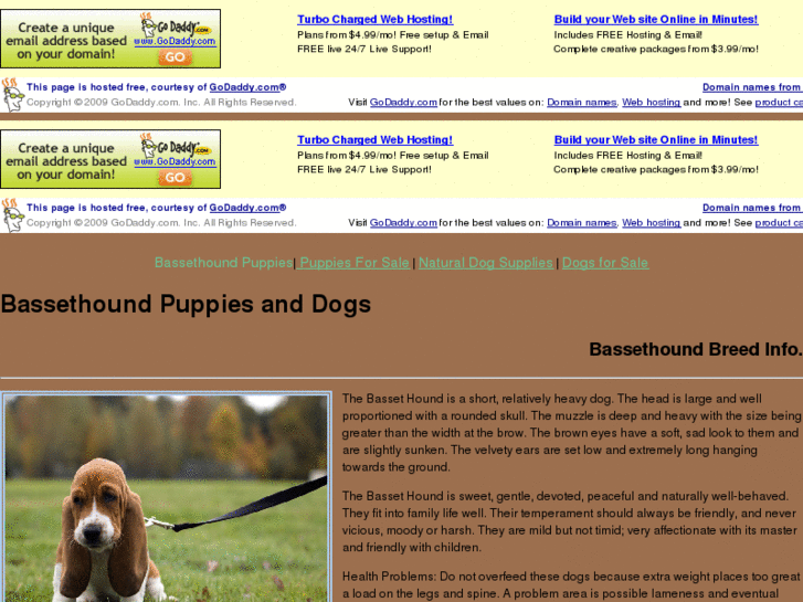 www.bassethoundpuppiesanddogs.com