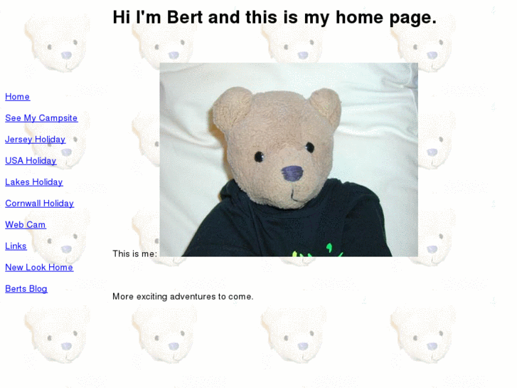 www.bertbear.co.uk