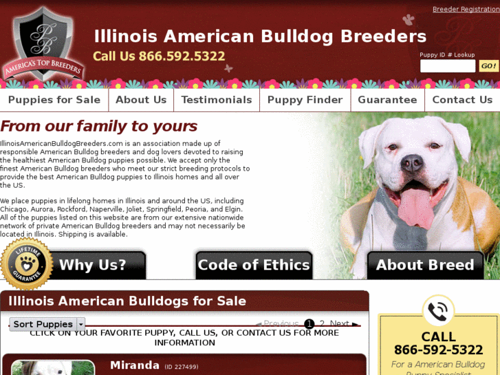 www.illinoisamericanbulldogbreeders.com