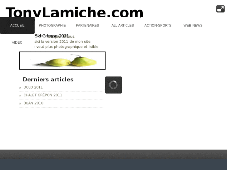 www.tonylamiche.com