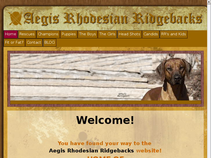 www.aegisridgebacks.com